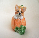 "Corgi Jack-o-Lantern"