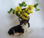 Budvase