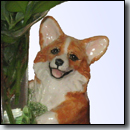Corgis!